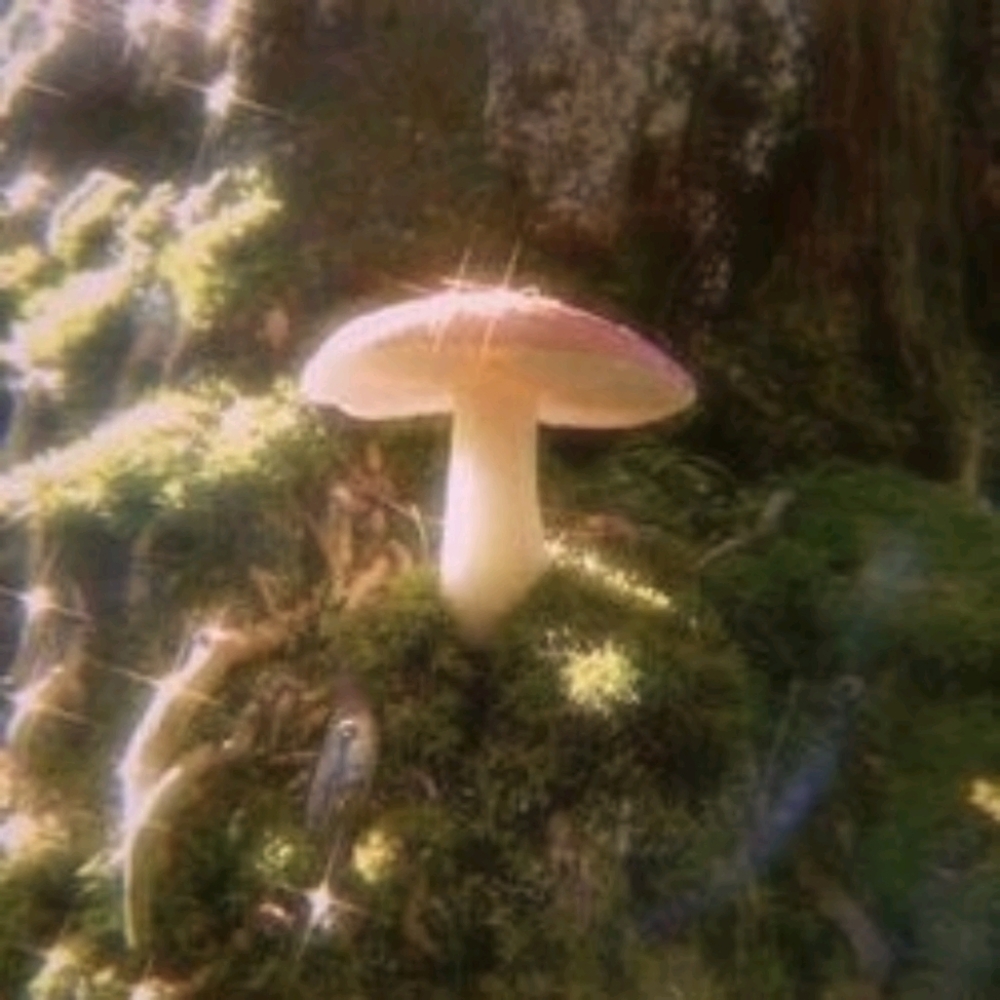 Meet your Posher, Paola